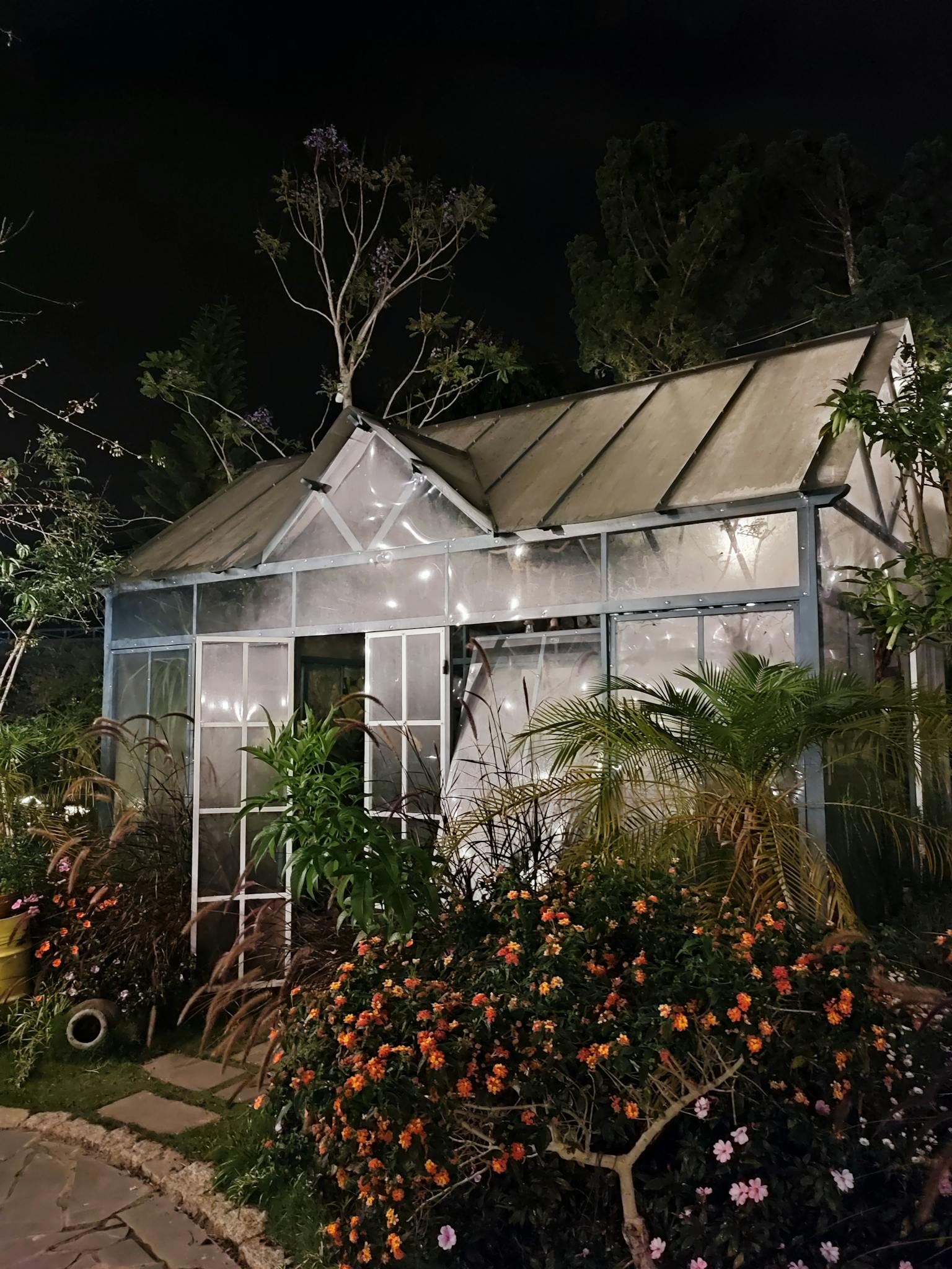 A beautifully lit greenhouse surrounded by lush plants and flowers at night, showcasing vibrant botanical growth.