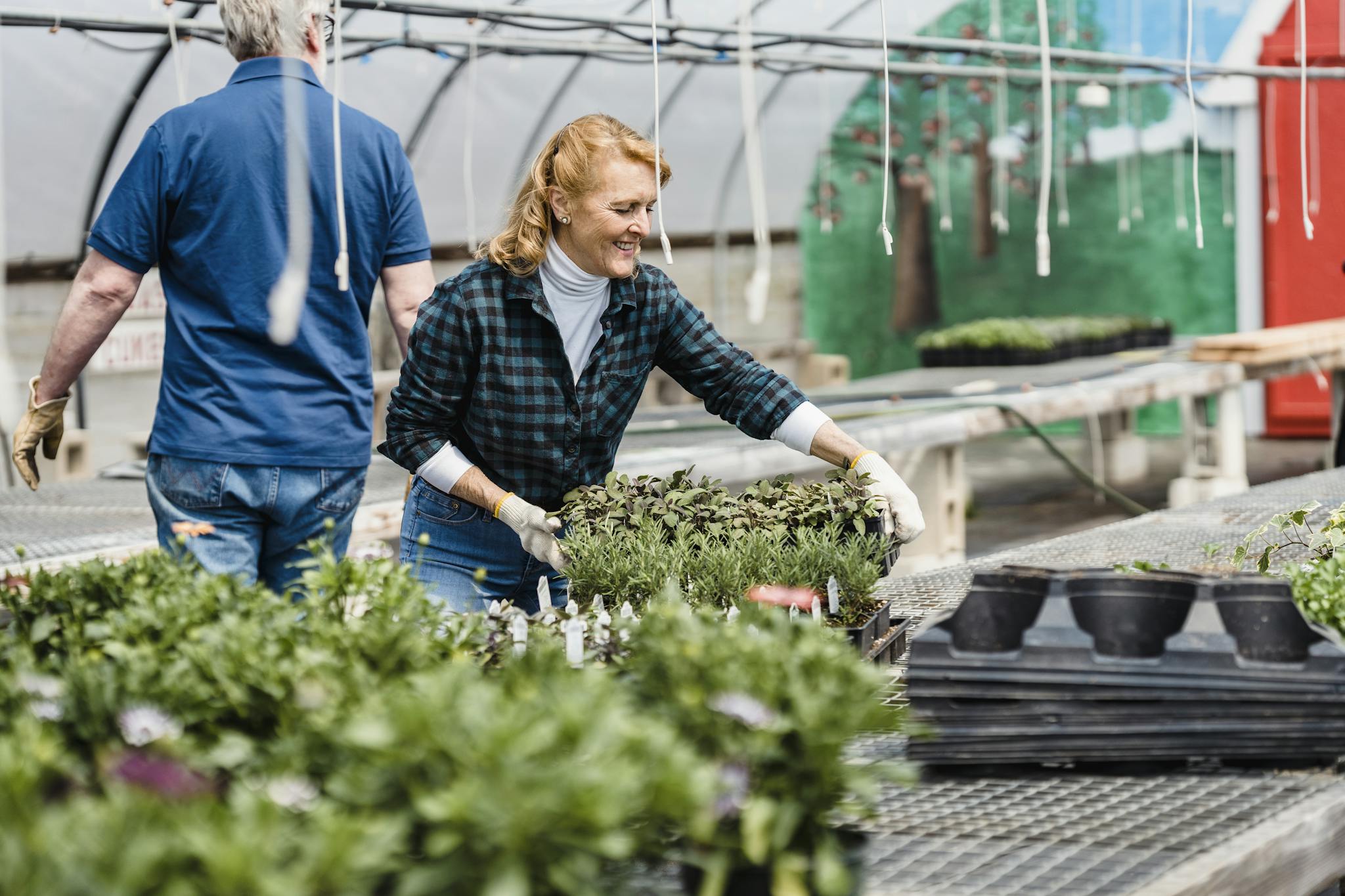 Senior woman working with seedlings in a greenhouse, engaging in gardening activities.